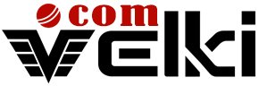 Velki Logo